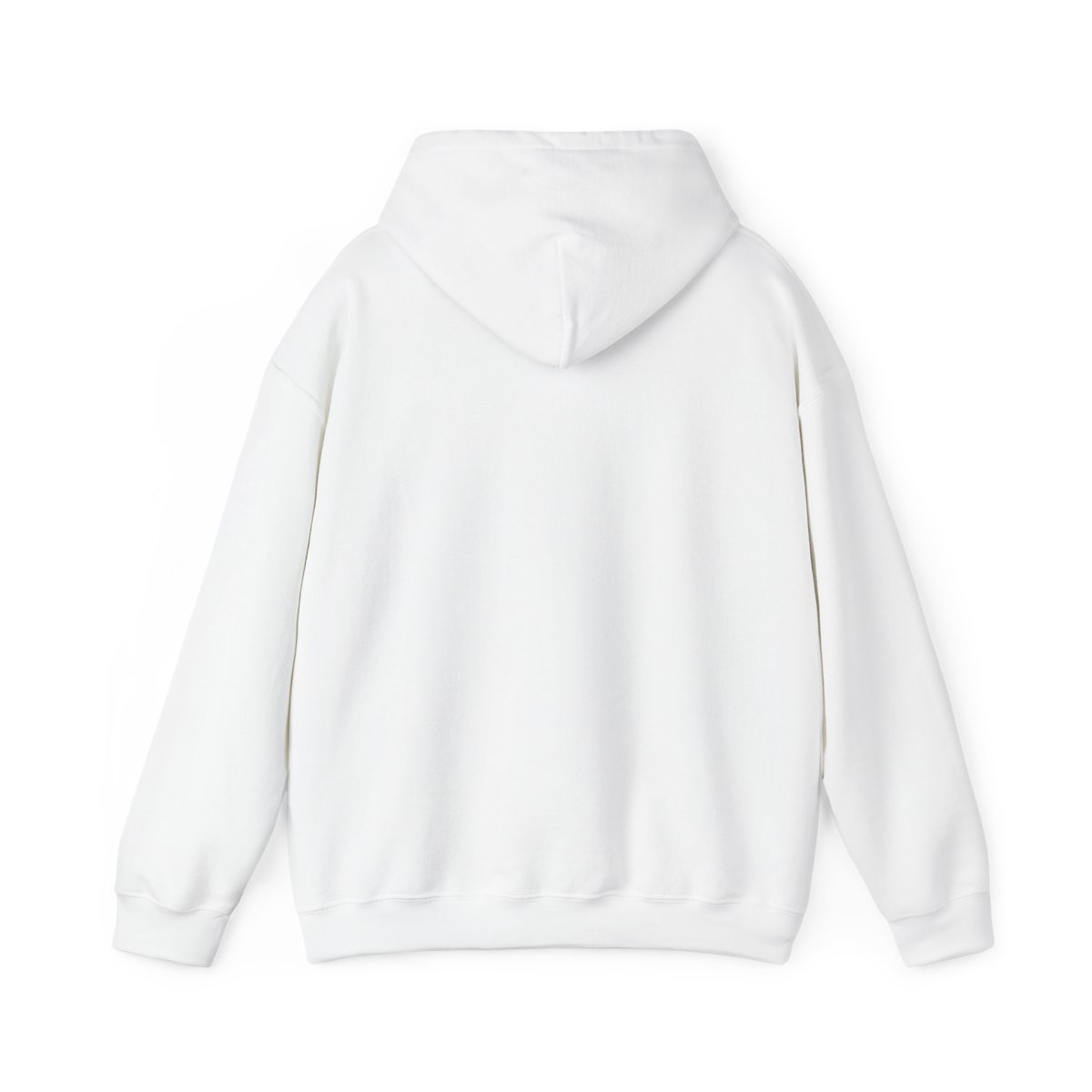 Salish Matter Hoodie Design #3 - alternate angle 1, merchandise